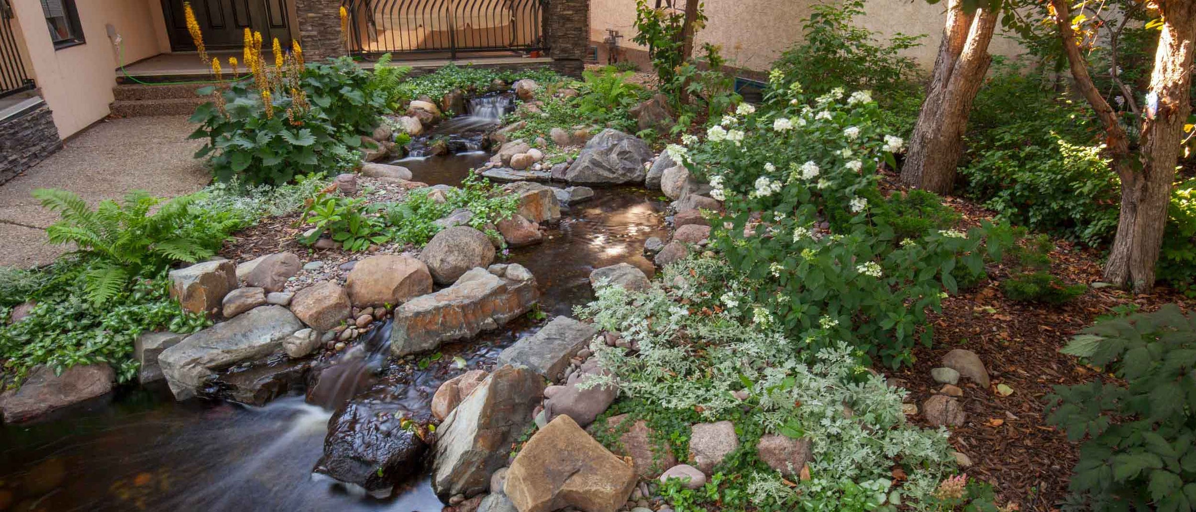 Mature Front Yard Beauty